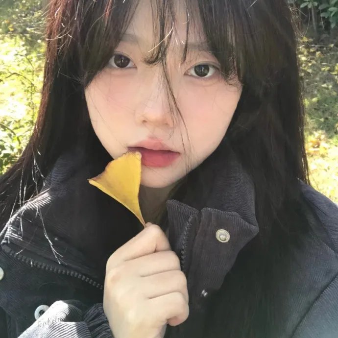 女剧盗